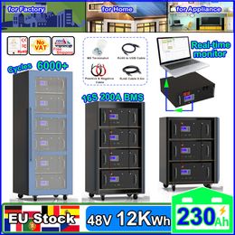 LiFePO4 Battery 48V 230Ah 200Ah 100Ah 51.2V 12KWh 100% Capacity 6000+ Cycles with RS485 CAN for Energy Storage Backup Power