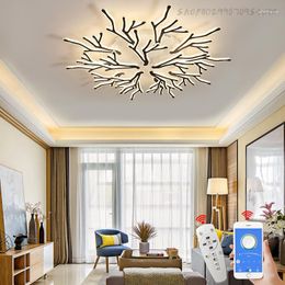 Ceiling Lights Modern Led For Living Room Dining Bedroom Study Apartment Lamp White/Black Lighting Fixtures