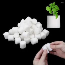 Planters 50Pcs/Set Soiless Hydroponic Gardening Plant Tools Planted Sponge Vegetable Cultivation System 32x30mm 45x30m Optional