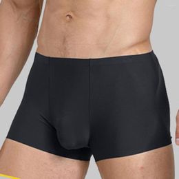Underpants Men Sexy Boxer Sissy Pouch Panties Seamless Brief Thin Transparent Underwear Shorts Trunks Fashion Bottom Pant