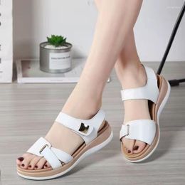 Sandals Fashion Basic Women's 2023summer Med Heel Flat Sandal Casual Solid Hook Loop Shoes Outdoor Platform Ladies Zapatos