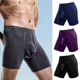 Underpants Men Boxers U Convex Breathable Smooth Surface Panties Lengthen Anti-septic Bulge Pouch Elephant Nose Clothing