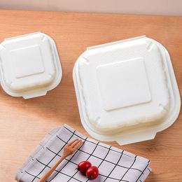 Yeniden kullanılabilir restoran fast food kızarmış tavuk konteyner Amerikan tek kullanımlık öğle yemeği kutusu sosisli sandviç kutusu hamburger kutusu yenilebilir ambalaj