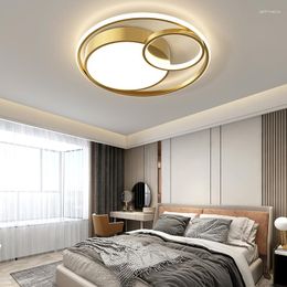 Ceiling Lights Simple Modern LED For Living Room Bedroom Study Attic Round Fixtures Indoor With Remote Control Lamp