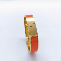 Designer Stainless Steel Cuff Bracelets Bangle Jewellery Woman Man 18 Colours Gold Buckle 17 19 Size256Q286z