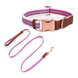 Cat Collars Leads Reflective Leash and Leash Set for Dogs and Cats Training Walking Leads Adjustable Striped Pet Collar Harness Set 231009