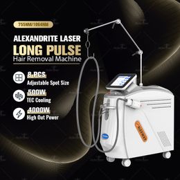 Alex Laser Machine Long Pulse Nd Yag 1064nm Beauty Equipment Alexandrite 755nm Laser Hair Removal Acne Treatment Vascular Legions Remove Epilator Hair Removal