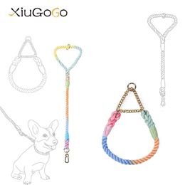 Cat Collars Leads Colourful Dog Cat Walking Traction Leash Collar SetCotton Rope Braided Short Lead For Medium Large Pet Supplies Gold Accessories 231009