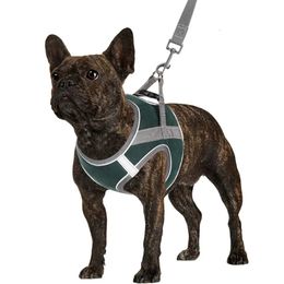 Dog Collars Leashes Pet Dog Harness and Leash Set No Pull Adjustable Puppy Cat Harness Vest Reflective Walking Lead Leash For Small Dogs Chihuahua 231009