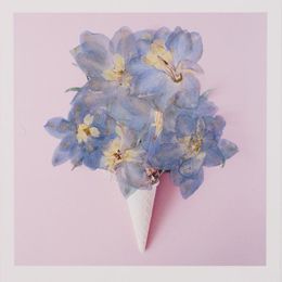 Decorative Flowers 12pcs/5-7cm Light Blue Big Swallow Pressed Flower Petal Dried DIY Po Frame Bookmark Beauty Nail Glue Phone Shell Decor