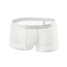 Underpants Gays Funny Mesh Transparent Underwear For Men Fashion Boxer Shorts Sissy Aro Pant Summer Breathable Sexy Bottom