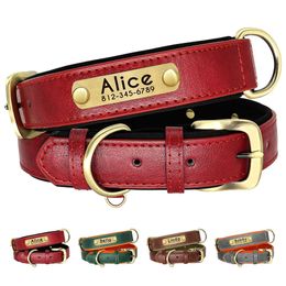 Dog Collars Leashes Personalised Leather Padded Collar Customised ID Nameplate Pet For Small Medium Dogs Durable Necklaces Accessories 231009