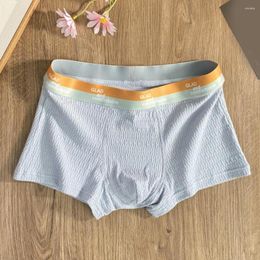 Underpants Sexy Men Cotton Seamless Boxer Briefs Pouch Underwear Shorts Trunks Soft Jockstrap Breathable Panties Sports Fitness