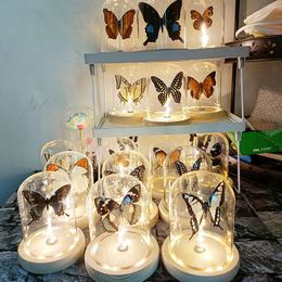 Decorative Objects Figurines Real Butterfly Specimens Insect with Lamp Glass Cover Decoration Birthday Gift Eternal Flower Crafts Home Decor 231009