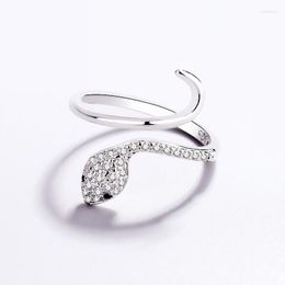 Cluster Rings Sole Memory Ins Antique Zircon Shining Snake Cool Silver Colour Female Resizable Opening SRI1190