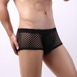 Underpants Mens Underwear Japanese Big Mesh Sexy U Transparent Cutout Shorts Boxer For Men