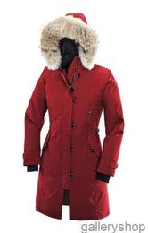 Goose Down Coat Women Winter Jacket Real Wolf Fur Collar Hooded Outdoor Warm and Windproof Coats with Removable Cap Ladies Parka Xs-3xl2djt
