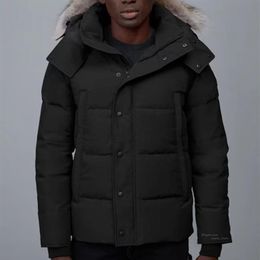 Winter Puffer Mens Down Parkas Fur Hooded Windbreaker Outwear Coats Fourrure Manteau Down Jacket Coat Hiver Parka Doudoune XS-3XL255Q