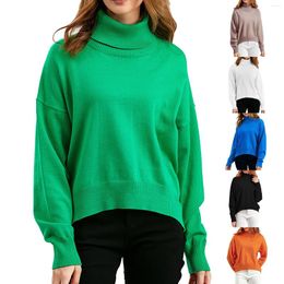 Women's Sweaters Sweater Long Sleeve Solid Colour Turtleneck Loose Knit Women Men's Fleece Sweatshirt