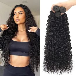 Lace Wigs Water Wave Bundles Human Hair For Women Peruvian Hair Bundle Raw Virgin Hair Unprocessed Human Bundle Curly Hair 231010