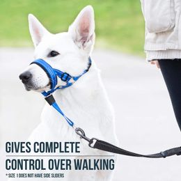 Cat Collars Leads Pet mask dog adjustable nose hair pet traction set training belt 231010