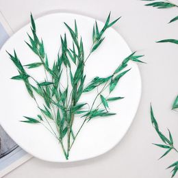 Decorative Flowers 8-10cm/12pcs Dyed Green Pressed Wild Wheat Leaves Dried Flower DIY Bookmark Po Frame Table Lamp Real Leaf Material