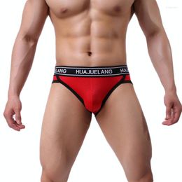 Underpants Briefs Sexy Mens Mesh Nylon Underwear Breathalbe Male Men Calzoncillos Hombre Gay Bikini Shorts Panties Brief