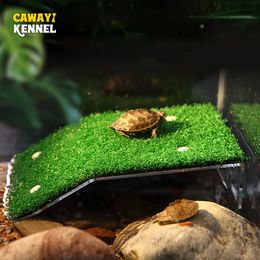 Aquariums Fish Tank Lawn Turtle Sun Terrace Aquarium Climbing Platform Suction Cup Drying Platform9159 231010