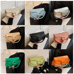 designer tote shoulder Handbag crossbody card holder Luxurys fashion Leather womens Cross body handbags women purses totes Tabby Pillow