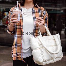 Totes New down bag high-end padded space cotton suit bag soft Chequered single shoulder crossbody handbagblieberryeyes