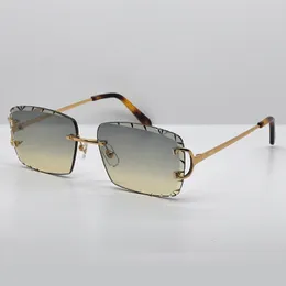 Y2K Designer Sunglasses Carter Diamante Corte Luxo Óculos Ao Ar Livre Cool Decoraiton Vintage Mens Shades Lentes De Sol Mujer Lunette Piccadilly Irregular Frameless
