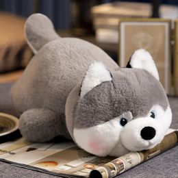 Plush Dolls Cute Corgi Shiba Inu Dog Toys Kawaii Lying Husky Pillow Stuffed Soft Animal Children Baby Gift 231009