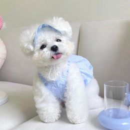 Dog Apparel Puppy Blue Plaid Shirt Summer Thin Style Skirt Pet Pretty Princess Teddy Suspender Breathable Dress Than Bear No Hat