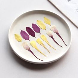 Decorative Flowers 12pcs/3-7cm Nature Pressed Flower Petals Dry Material DIY Leaf Bookmark Drop Glue Po Frame Jewellery Accessories