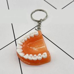 Keychains Tooth Key Chain Resin Jaw Model Denture Keyring Keychain For Bags Charm Clinic 2023 Trending Kids