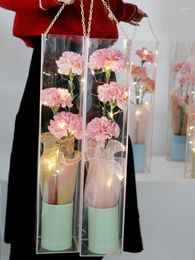 Gift Wrap Set Of 5 Transparent PVC Box With Handle Plastic Bag Rose Bouquet Wrapping Bags