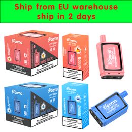 EU warehouse 10000 puffs Disposable Vape pen Pod Device 10K puffs Vape box E Cigarette 20ml Prefilled Pod with 10 Flavours