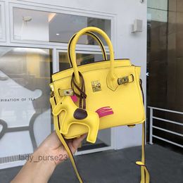 Cross Berkins Bag Designer Tote Summer Lady Classic Bags Mini Litchi Leather Top Shoulder Handbag Girl Cutie Quality Crossbody Small 20cm C480