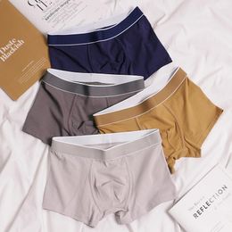 Underpants Summer Comfort Pure Cotton Underwear Men Simple Solid Colour Boxers Mid-waist Youth Basic Plus Size Short Shorts