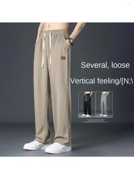 Men's Pants Vertical For Men Autumn Thin Loose Sports Casual Long Trousers Spring And Wide Leg