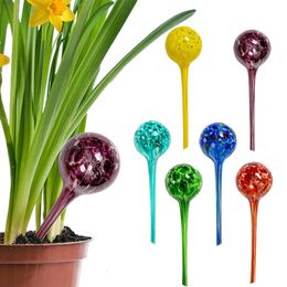 Sprayers 6Pcs Indoor Plant Watering Globes Automatic Self Water Bulbs Aqua Water Globe Irrigation Device Decorative Hand-Blown Glass 15cm 231010