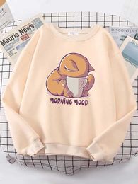 Cat Is Looking at the Cup Lovely Sweatshirt Female Fashion Fleece Hoody Crewneck Casual Hoodies Pullover Oversize Sportswear 230915