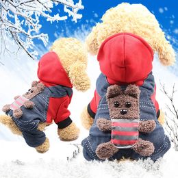 Cat Costumes Autumn and Winter Four-legged Flannel Warm Dog Cat Pet Supplies Teddy Bear Method Lion Turned Clothes Pet Halloween Costume 231011