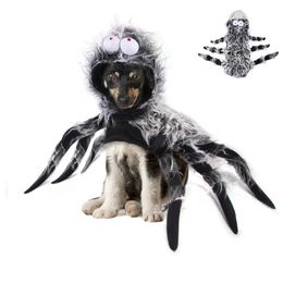 Cat Costumes Halloween Dog Cat Spider Clothes Funny Simulation Black Spider Pet Costume For Small Medium Cats Party Cosplay Costumes 231011