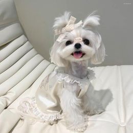 Dog Apparel Summer Dogs Clothing Silk Dresses Strap Lace Soft Pajamas Cut Pet Clothes Teddy Bichon Yorkshire Chihuahua