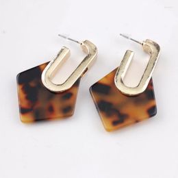 Dangle Earrings Fashion Lucite Geometry Drop Leopard Resin Acrylic Flat Statement For Women