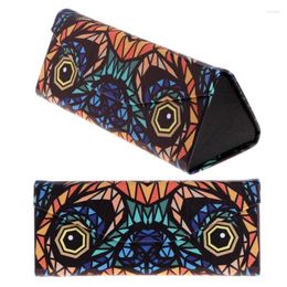 Sunglasses Frames Triangle Foldable Glasses Case Cartoon Animal Eyeglasses Storage Box