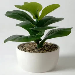 Decorative Flowers Artificial Plant Faux Fiddle Leaf In White Ceramic Vase