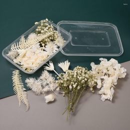 Decorative Flowers 1Box Real Natural White Dried Plants For Epoxy Resin Mold DIY Candle Making Accessories Crafts Home Wedding Decoration