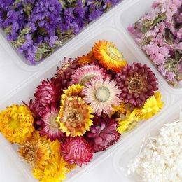 Decorative Flowers 1 Box Natural Real Dried Artificial Plants For Candles Mould Epoxy Resin DIY Making Decoration Home Accessories Crafts